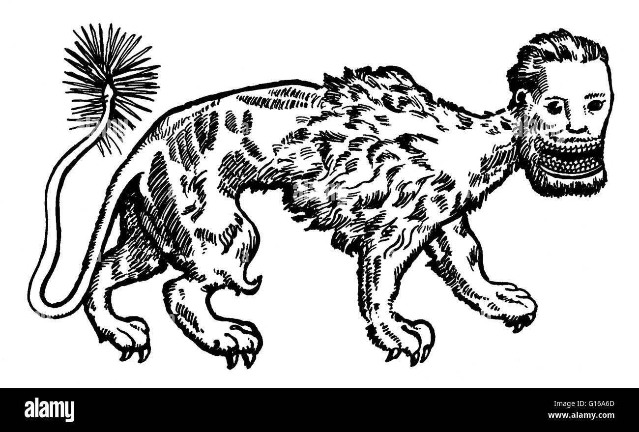 The manticore is a Persian legendary creature similar to the Egyptian sphinx. It has the body of a red lion, a human head with three rows of sharp teeth, and a trumpet-like voice. Other aspects of the creature vary from story to story. It may be horned, w Stock Photo