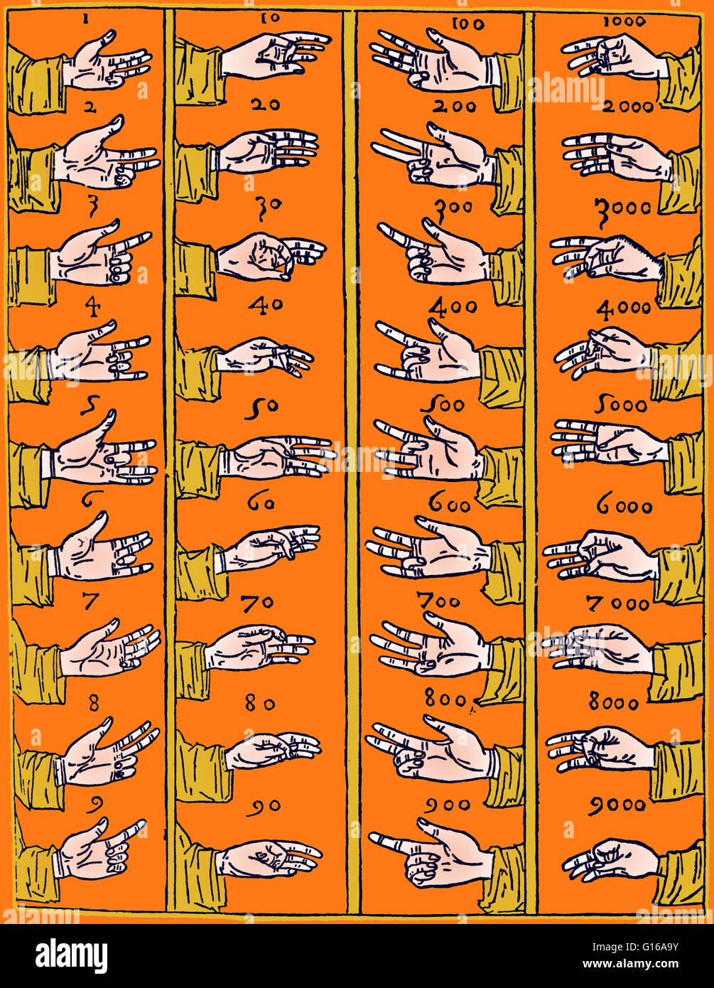 Finger Counting, or Dactylonomy, is the art of counting along one's
