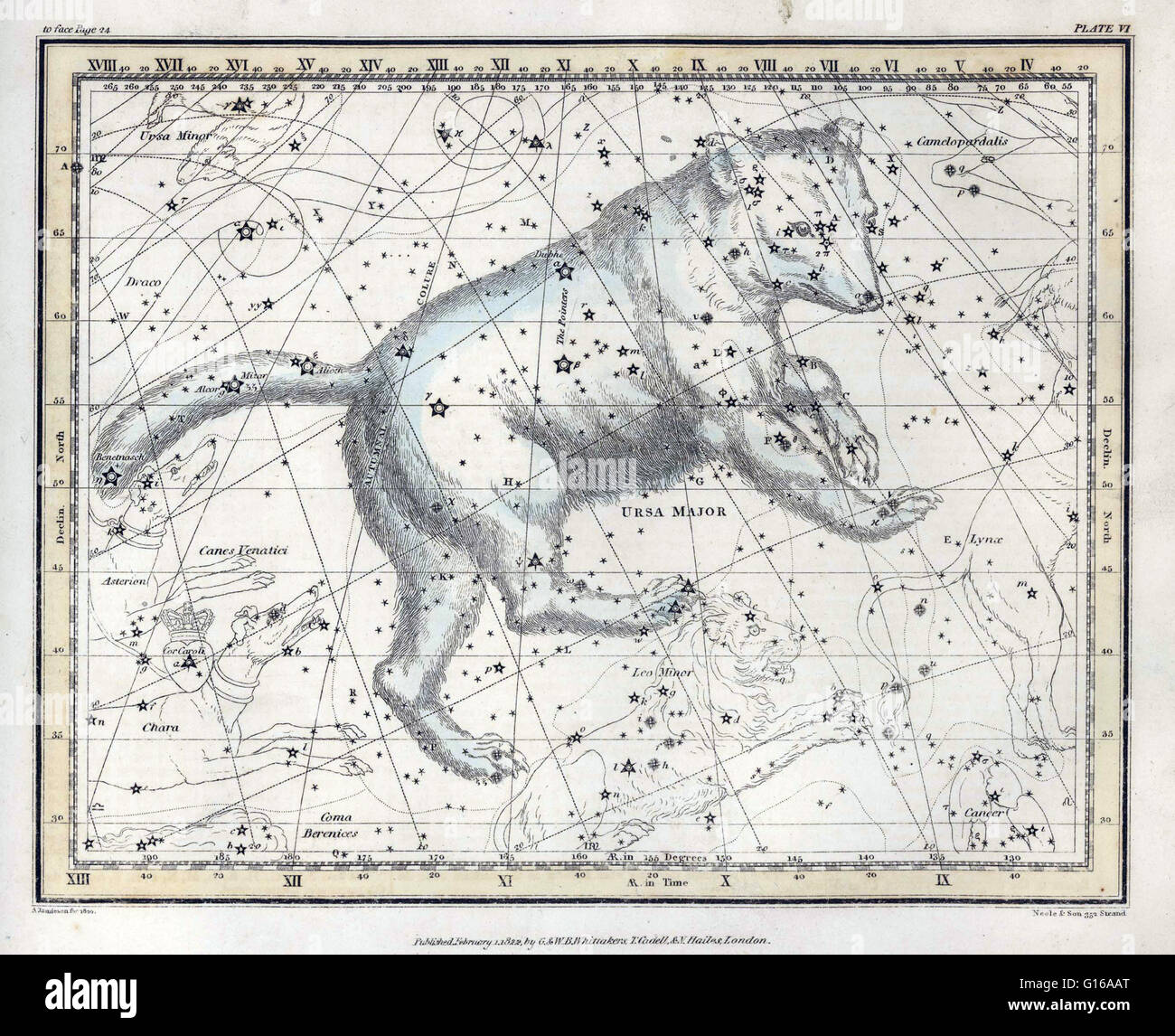 Ursa Major, also known as the Great Bear, is a constellation visible throughout the year in most of the northern hemisphere. It was one of the 48 constellations listed by the 2nd century astronomer Ptolemy, and remains one of the 88 modern constellations Stock Photo