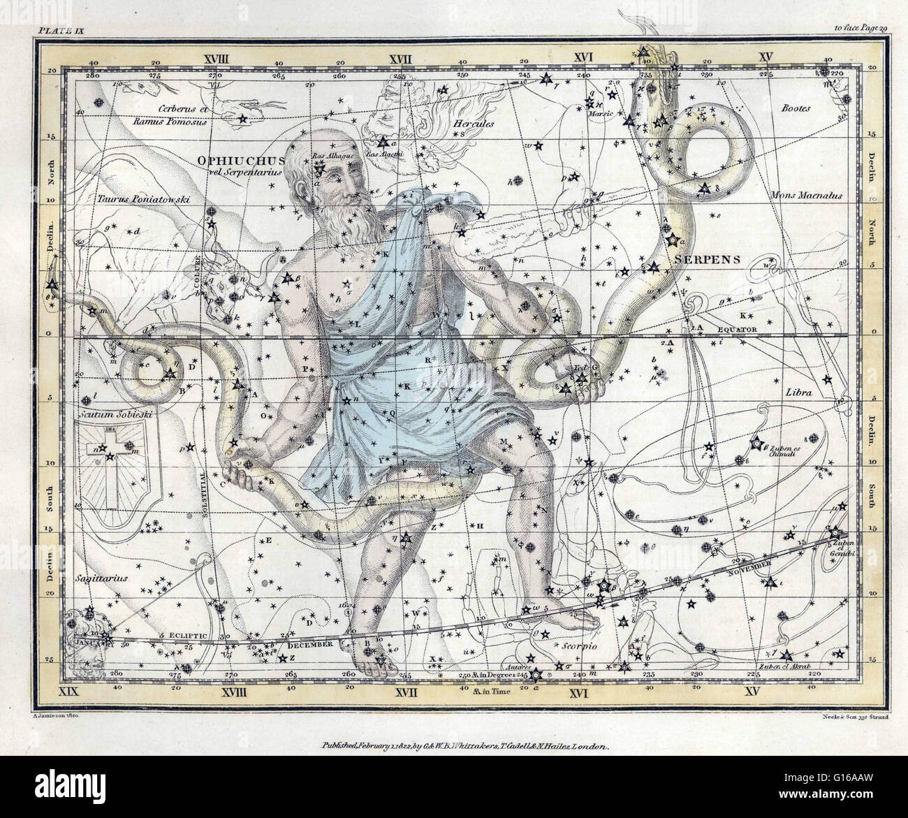 Ophiuchus is a large constellation located around the celestial equator. It is commonly represented as a man grasping the snake that is represented by the constellation Serpens. Serpens is unique among the modern constellations in being split into two non Stock Photo