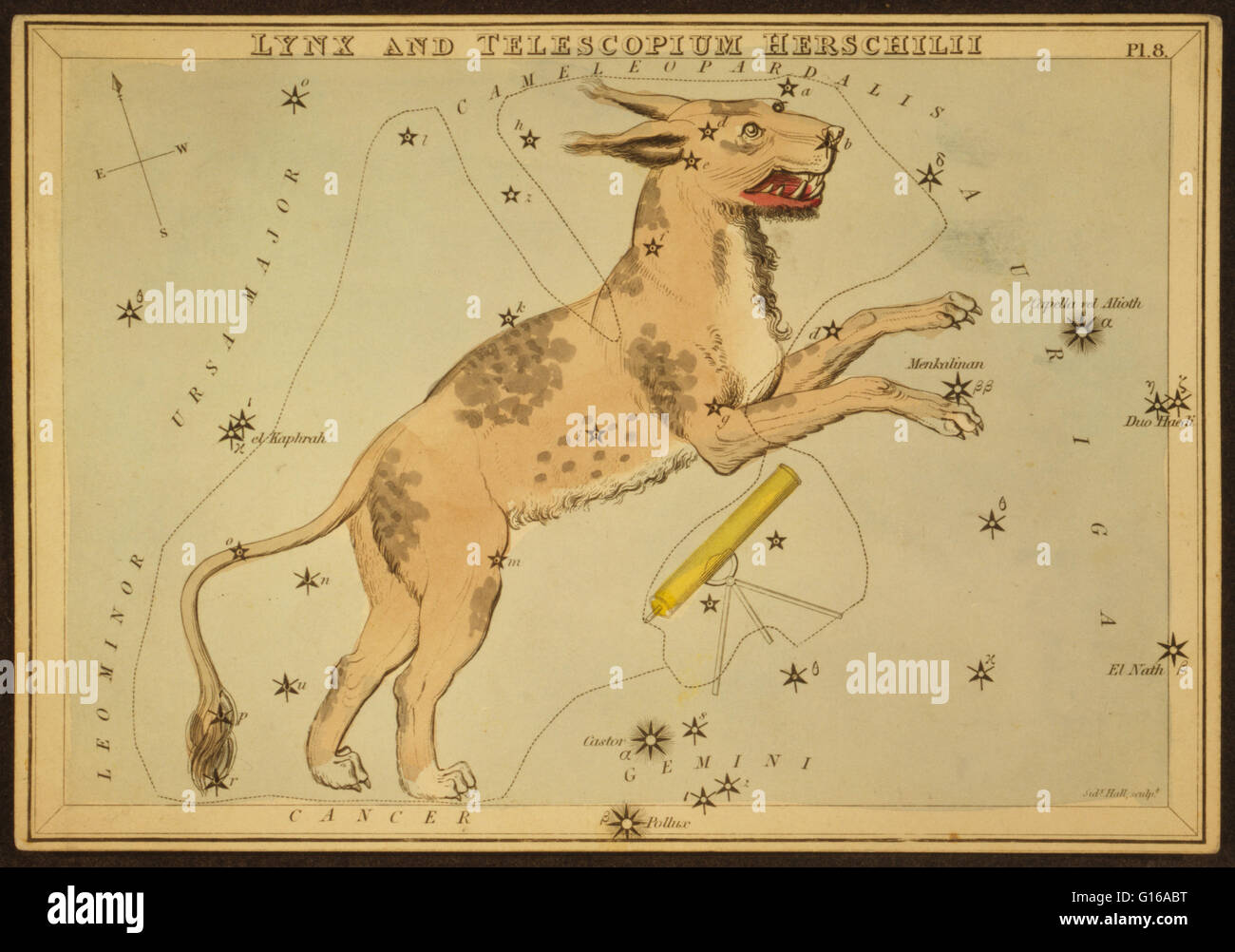 Astronomical chart showing a lynx and a telescope forming the constellations. Lynx is a constellation in the northern sky. It is named after the lynx, a genus of cat. It is a very faint constellation; its brightest stars form a zigzag line. It was designa Stock Photo