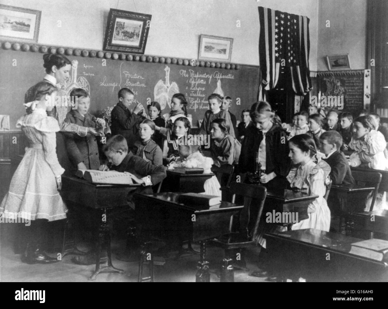 Biology class, Washington, D.C. public school, 1899. No school name given on caption card. An elementary school or primary school is an institution where children receive the first stage of academic learning known as elementary or primary education. Photo Stock Photo