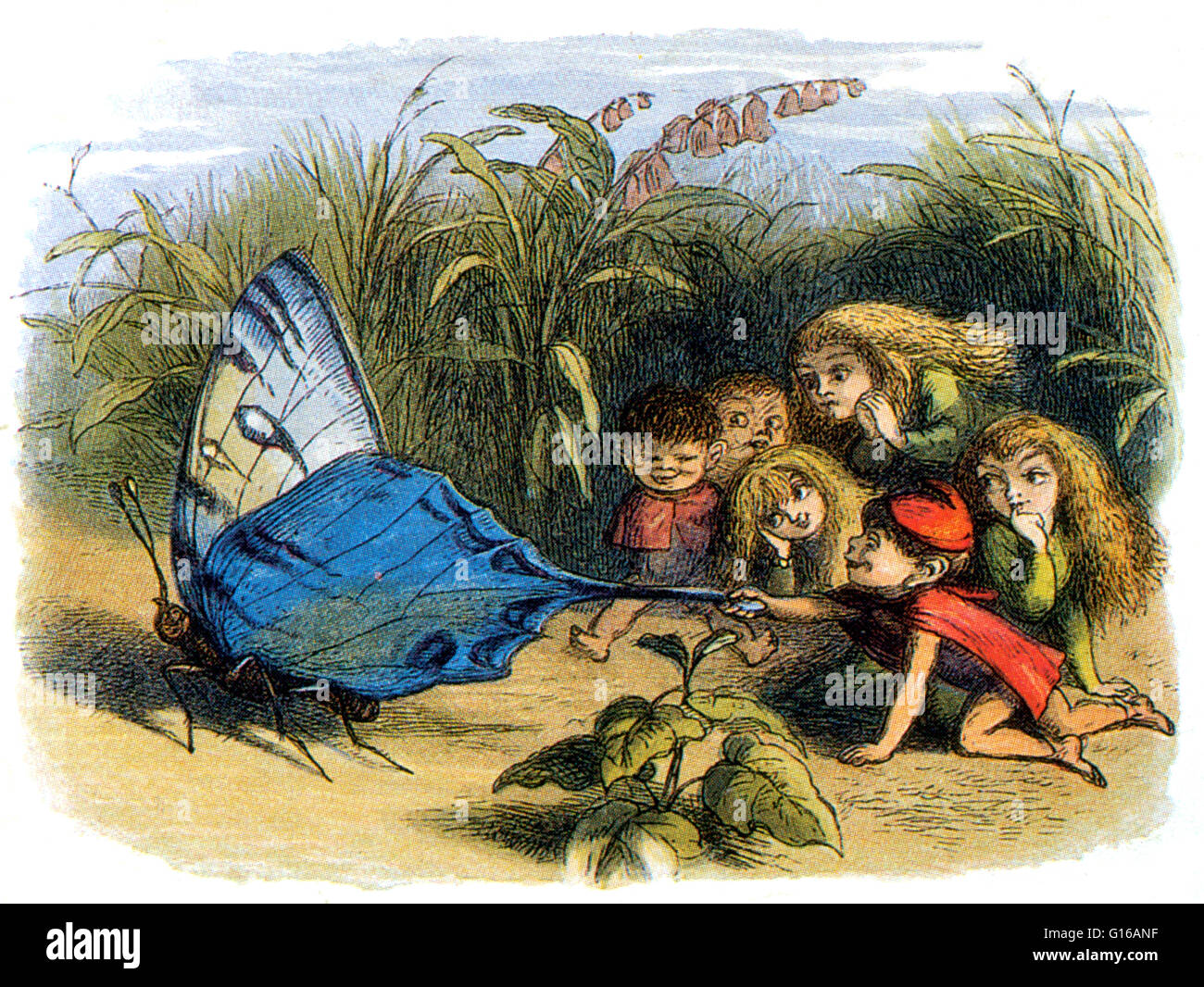 Elf Teasing a Butterfly. An alf is a type of supernatural being in Germanic mythology and folklore. Early elves, whose description depends almost entirely on Norse mythology texts, were a race of beings with magical skills, ambivalent towards humans and c Stock Photo