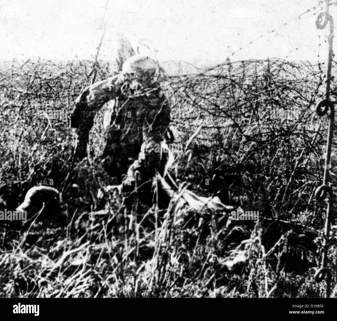 Remains of dead World War I soldier hanging on barbed wire. In World War I, no man's land was often ranged from several hundred yards to in some cases less than 10 yards. Heavily defended by machine guns, mortars, artillery and riflemen on both sides, it Stock Photo