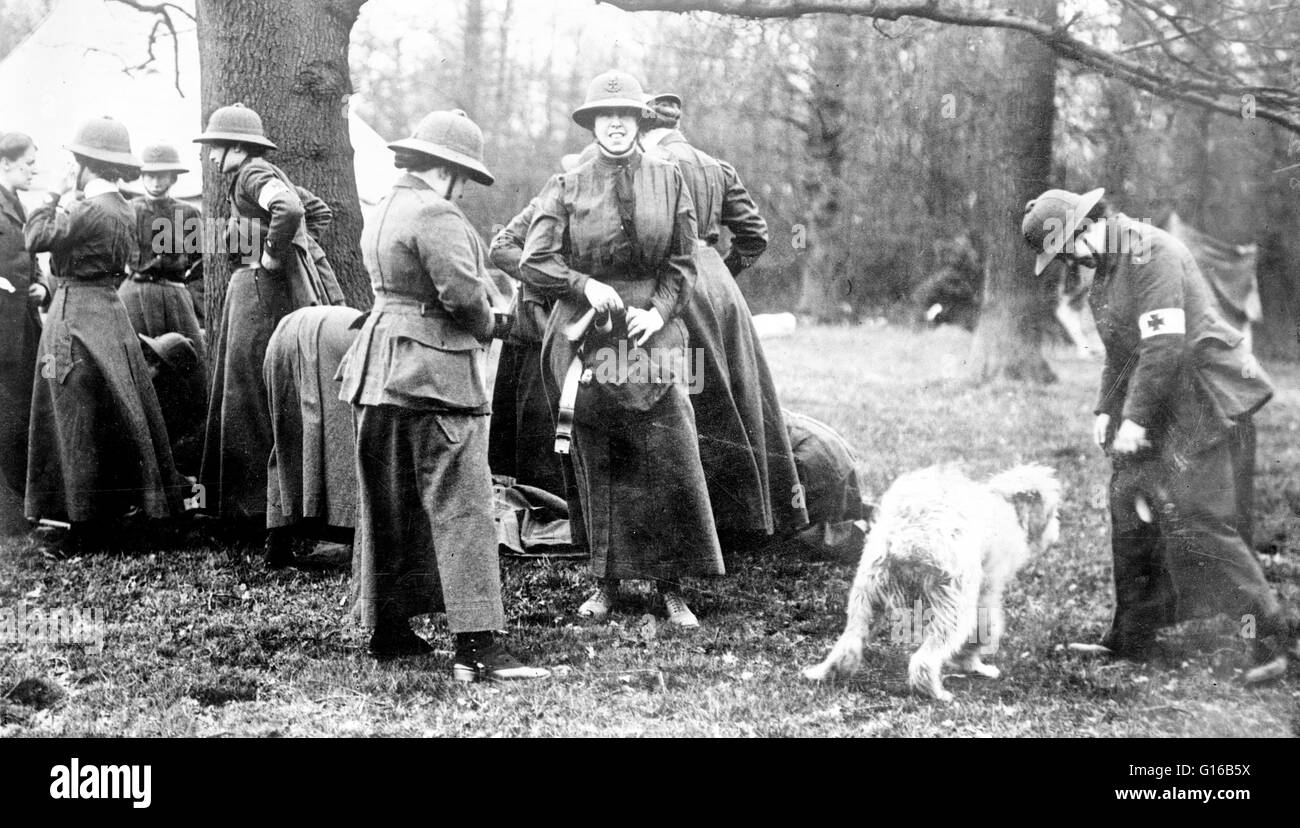 Women training with a dog as part of the Women's Sick and Wounded Convoy Corps during World War I in England. Mrs. Mabel St. Clair Stobart founded the Women's Sick and Wounded Convoy Corps in 1912 and the Women's National Service League in 1914. When WWI Stock Photo