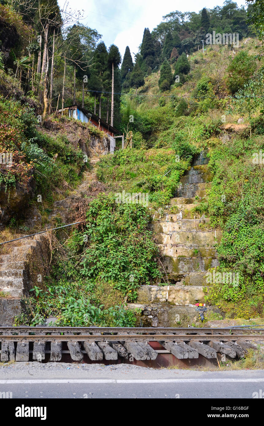 Typical Darjeeling scenery comprising of the roadside Toy Train tracks and a house on a hill with coniferous trees on the peak. Stock Photo
