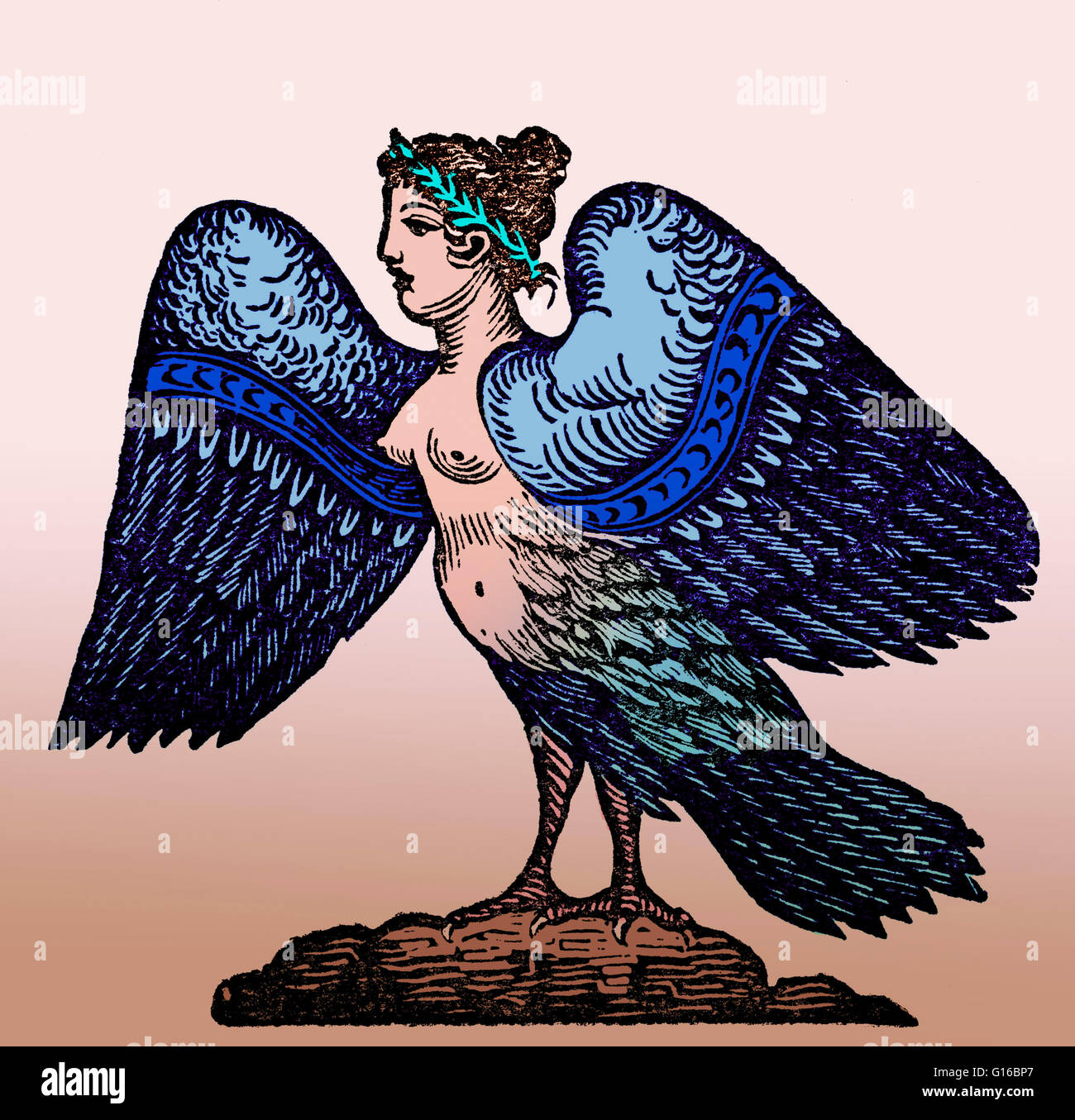 Color enhancement of a Harpy, a lengendary creature. In earlier versions of Greek myth, Harpies were described as beautiful, winged maidens. Later they became winged monsters with the face of an ugly old woman and equipped with crooked, sharp talons. The Stock Photo