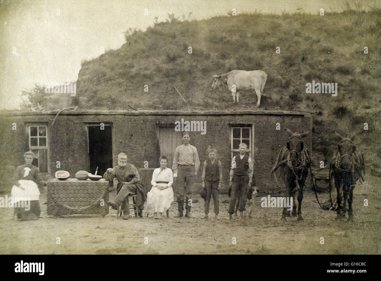 1886 photograph by Solomon Butcher entitled: 'Sylvester Rawding family in front of sod house, north of Sargent, Custer County, Nebraska.' Pictured, from left to right, are Emma (Leadbetter) Rawding, Sylvester W. Rawding, daughter Bessie, and sons Philip, Stock Photo