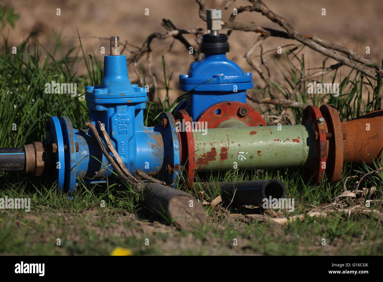 Blue vent outside on field connecting pipe to hose Stock Photo
