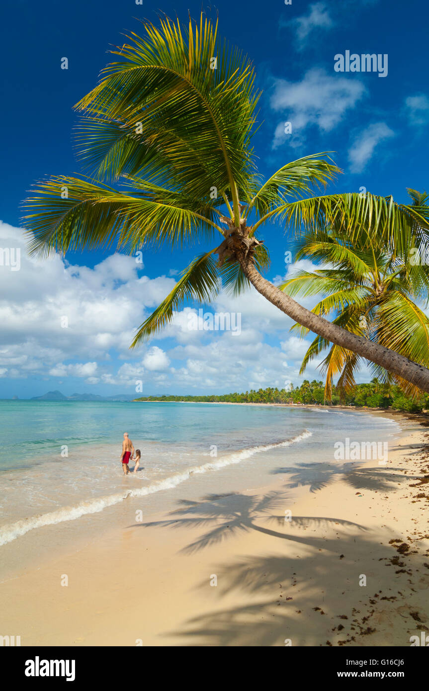 Ile de Martinique, Sainte Anne, plage de Grande Anse des Salines
