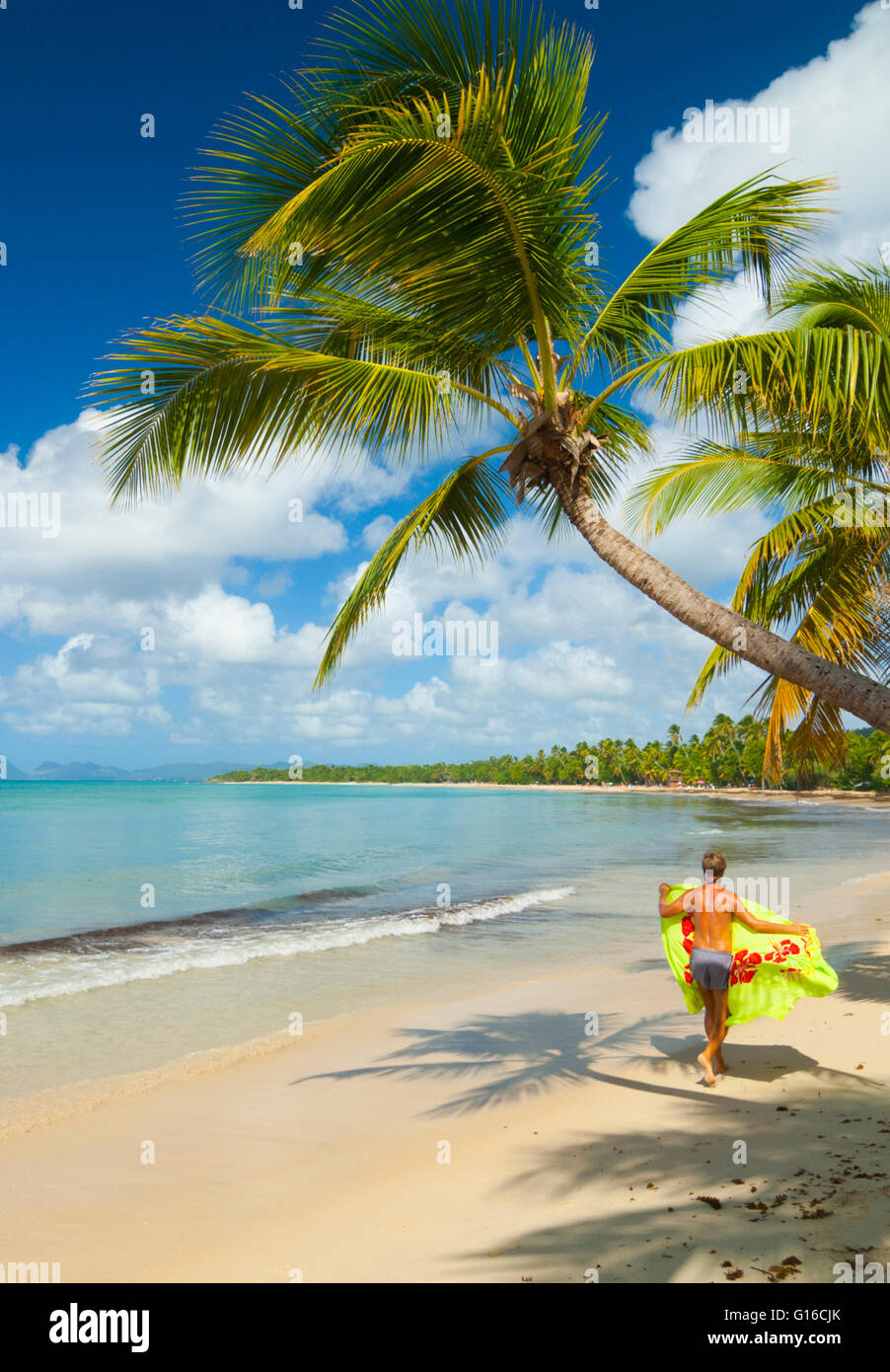 Ile de Martinique, Sainte Anne, plage de Grande Anse des Salines