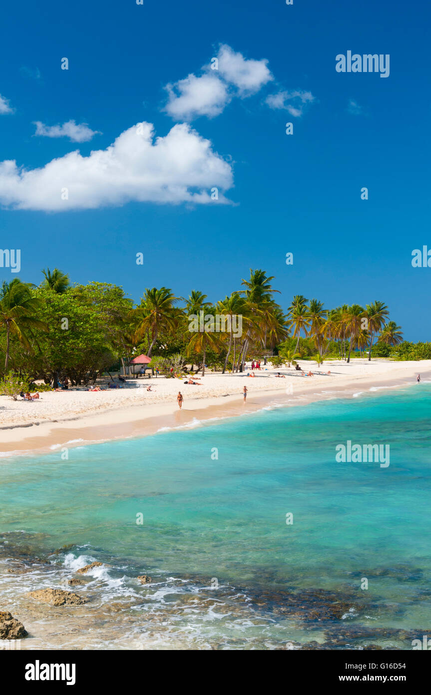 Ile De Guadeloupe Anse Bertrand Plage France
