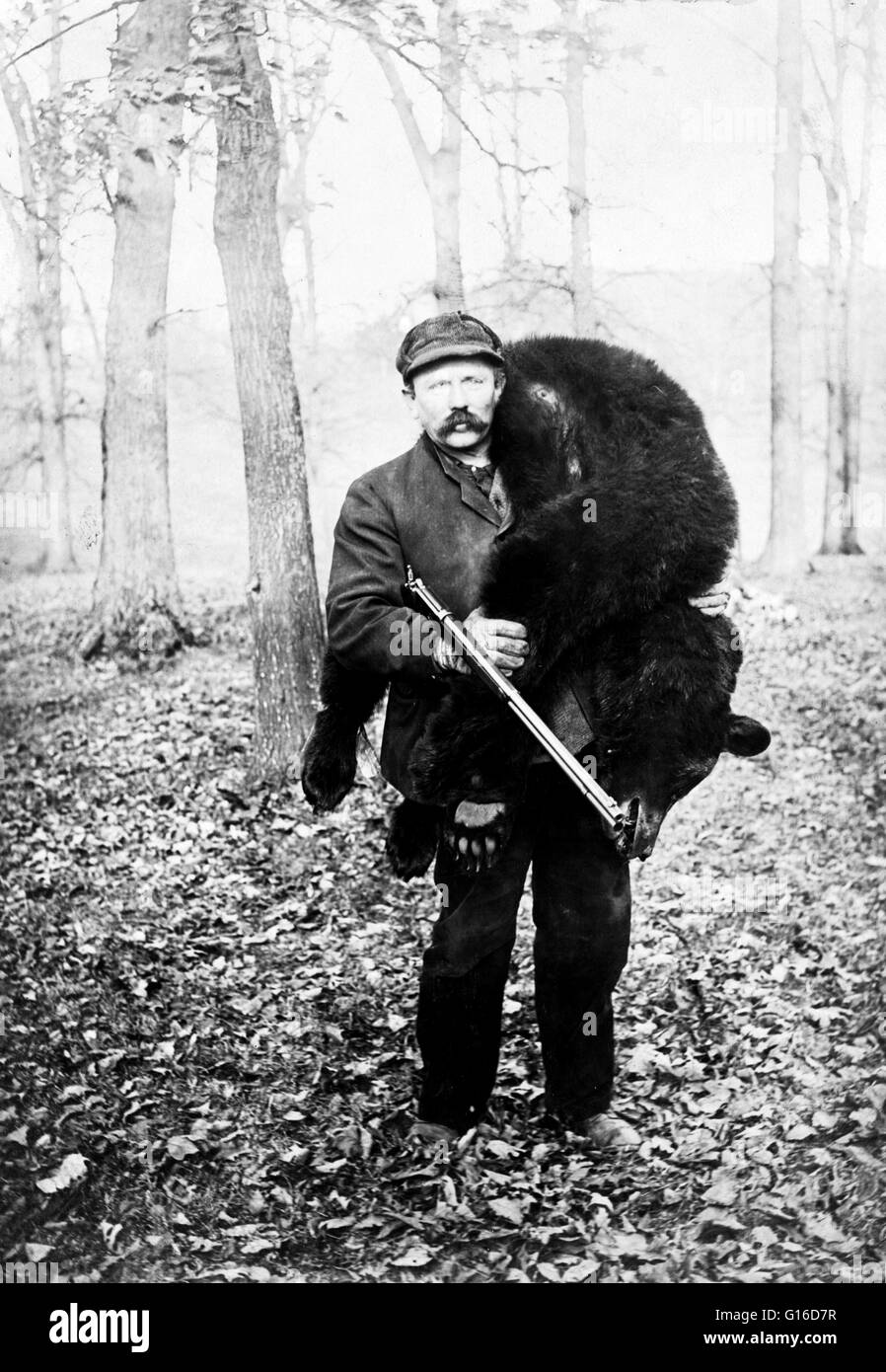 Land of the bears hires stock photography and images Alamy