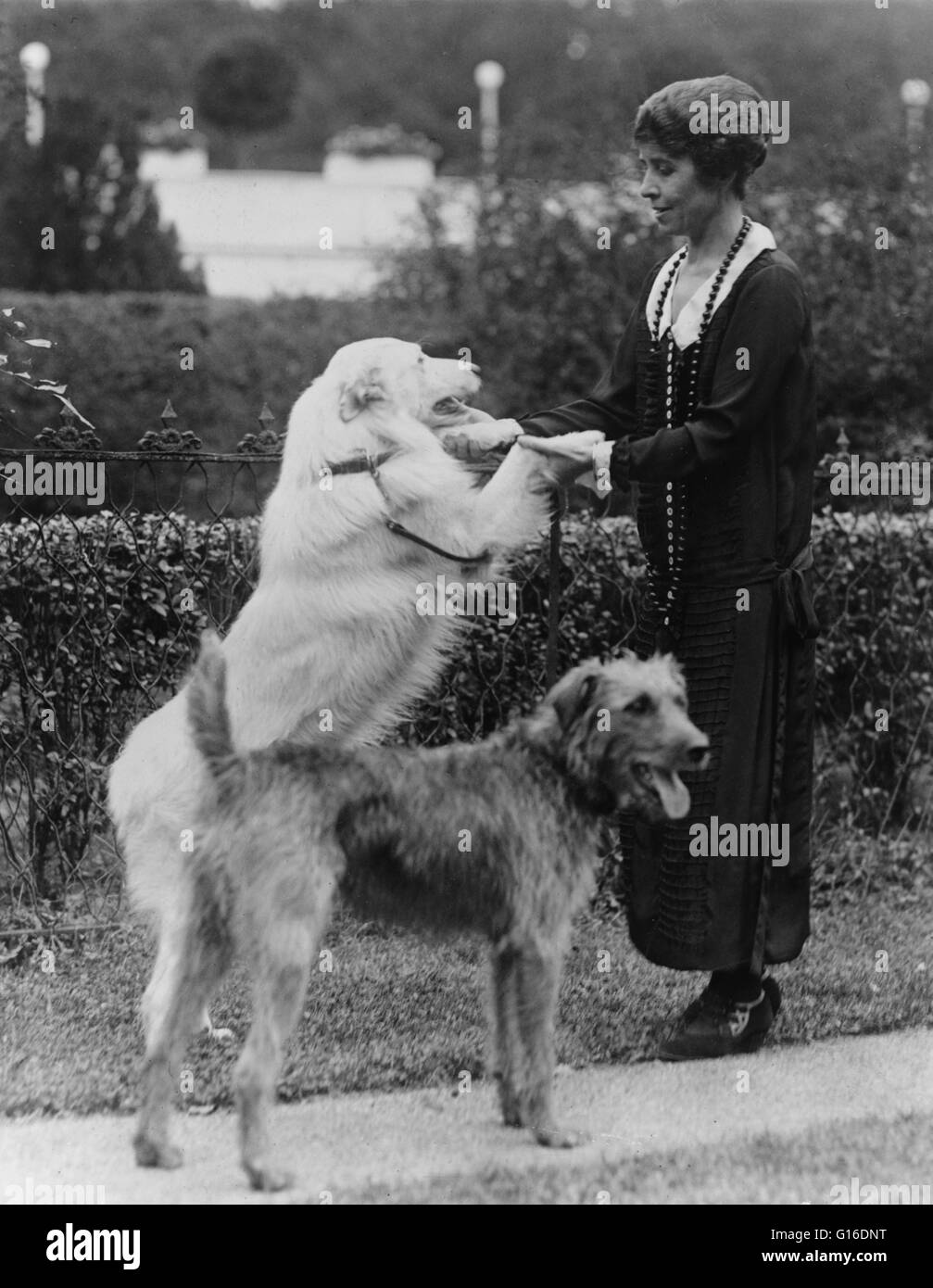 Grace Coolidge with two dogs, holding the front paws of one. Grace Anna Goodhue Coolidge (January 3, 1879 - July 8, 1957) was the wife of Calvin Coolidge and First Lady of the United States from 1923 to 1929. She graduated from the University of Vermont i Stock Photo