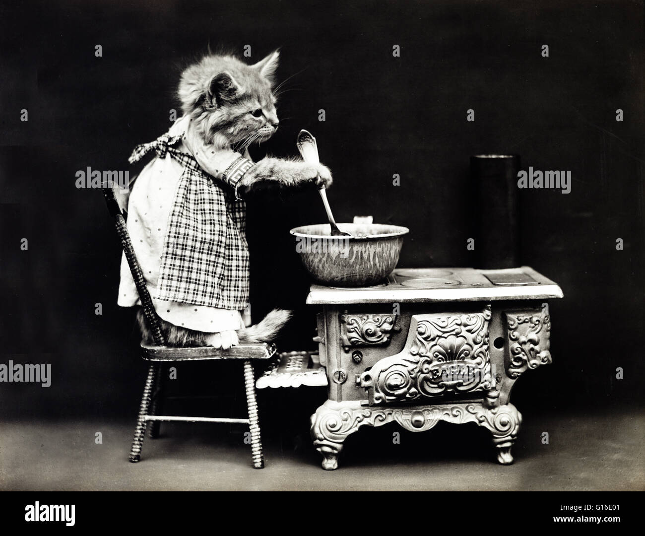 Entitled: 'The cook' shows a kitten wearing a dress and stirring at a stove. Harry Whittier Frees (1879 - 1953) was an American photographer who photographed live animals dressed and posed in human situations with props. His animal photos were featured on Stock Photo