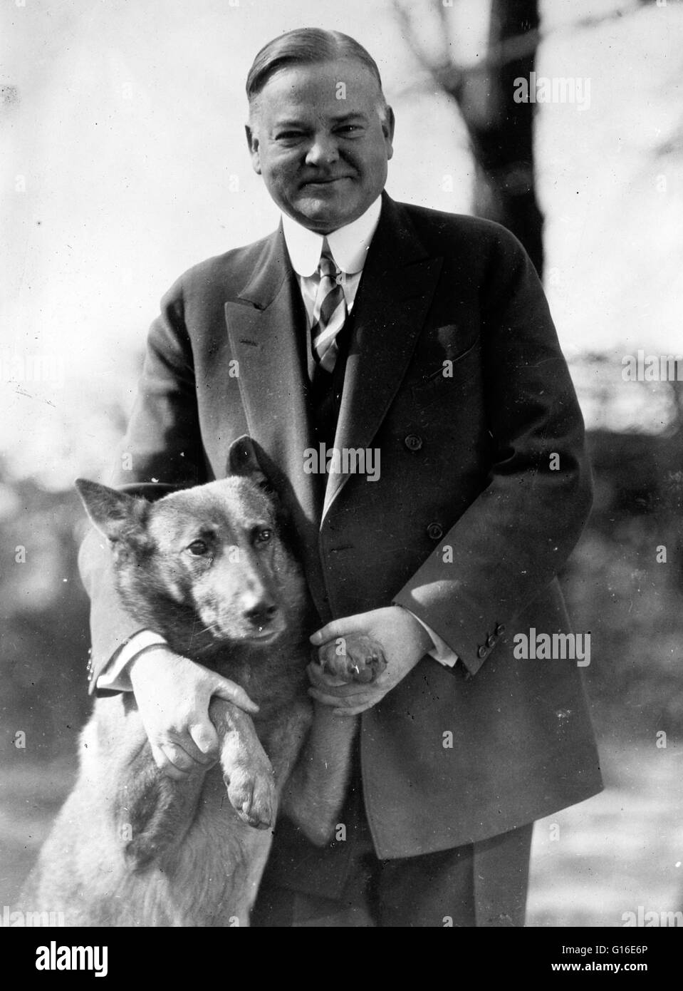 Entitled: 'President Hoover with King Tut.' Photographed by the National Photo Company, 1929. President Hoover and his wife Lou were genuine dog lovers and at one time the White House was home to 9 dogs. King Tut a Belgian Shepherd that was given to Hoove Stock Photo