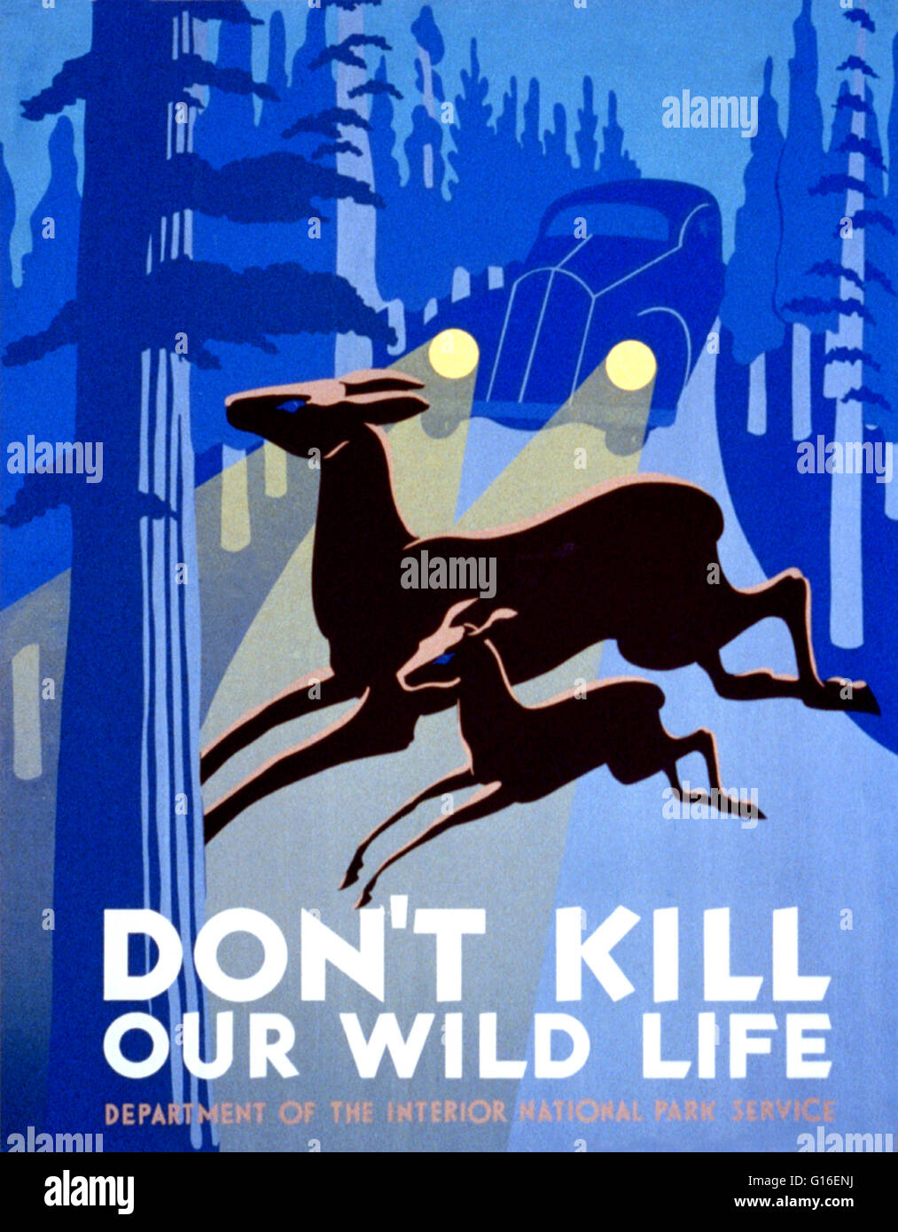 Entitled: 'Don't kill our wild life'. Poster showing two deer crossing road in front of approaching car. The Federal Art Project (FAP) was the visual arts arm of the Great Depression era New Deal Works Progress Administration Federal Project Number One pr Stock Photo