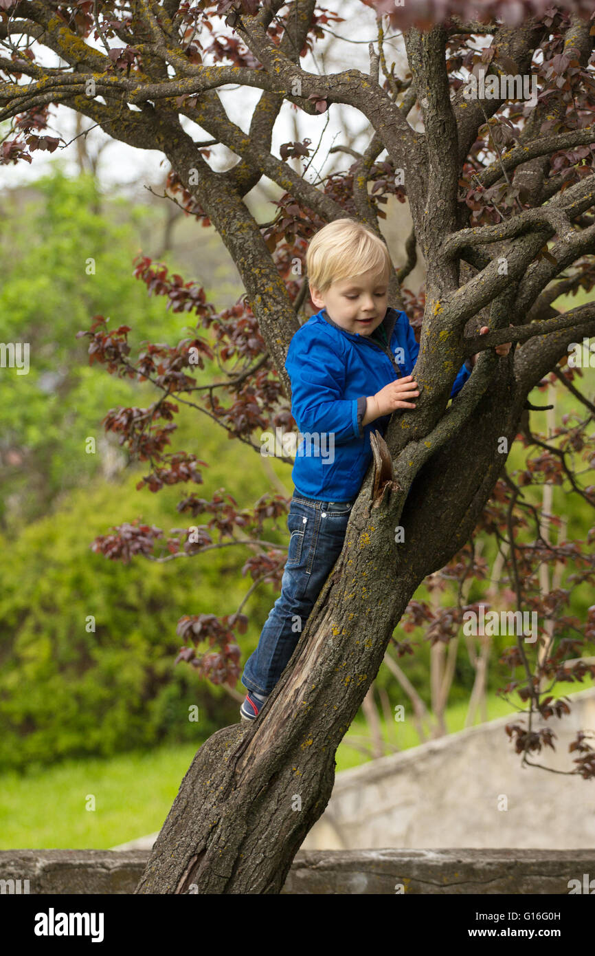 Boy hugging tree trunk hi-res stock photography and images - Page
