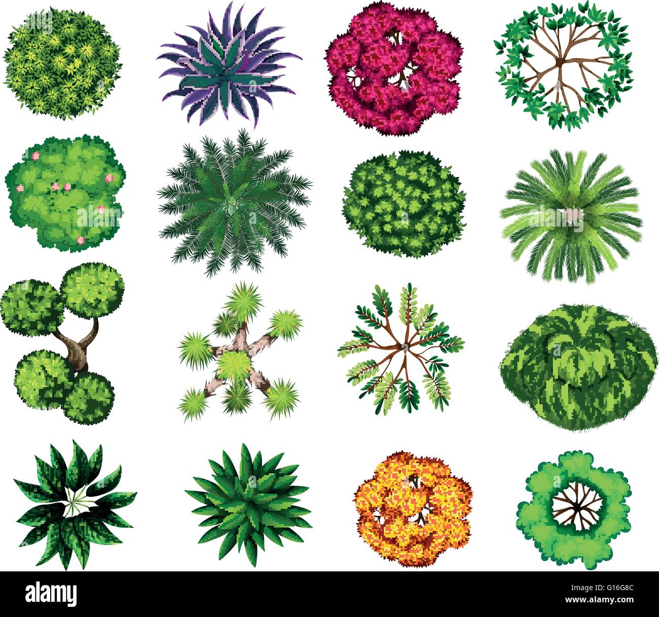 Different kind of plants illustration Stock Vector