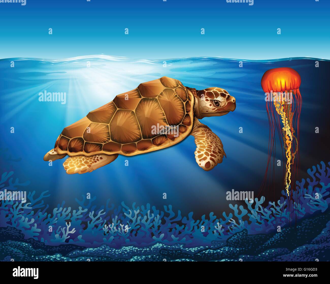 Turtle and jelly fish swimming in the sea illustration Stock Vector ...