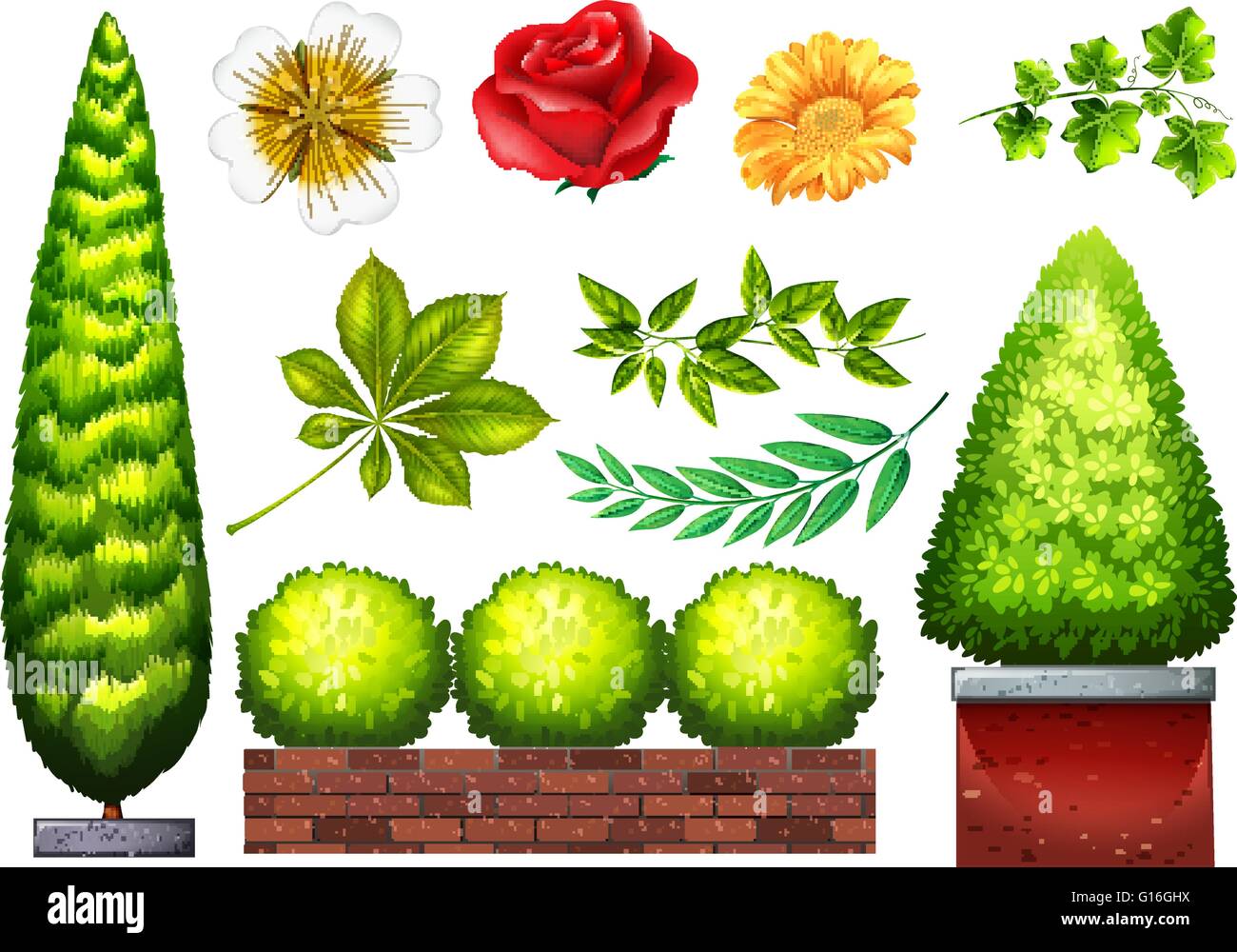 Gardening plants and flowers in many kinds Stock Vector