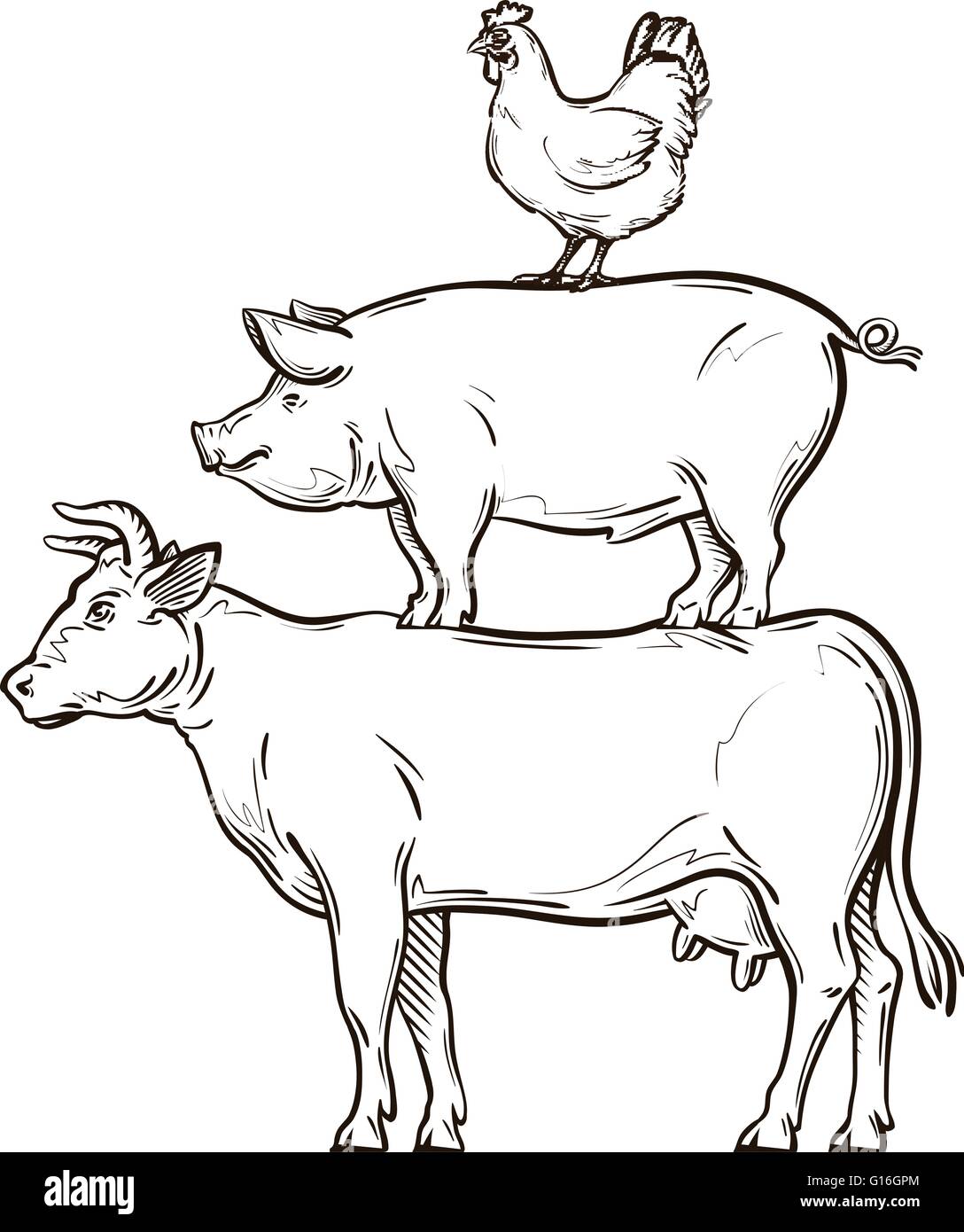 hand-drawn cow, pig, chicken. vector illustration Stock Vector