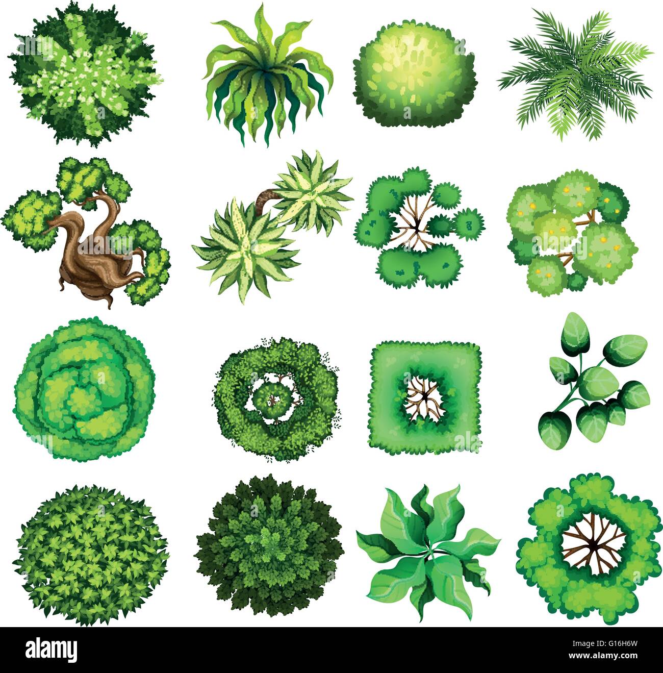 Top view of different kind of plants illustration Stock Vector