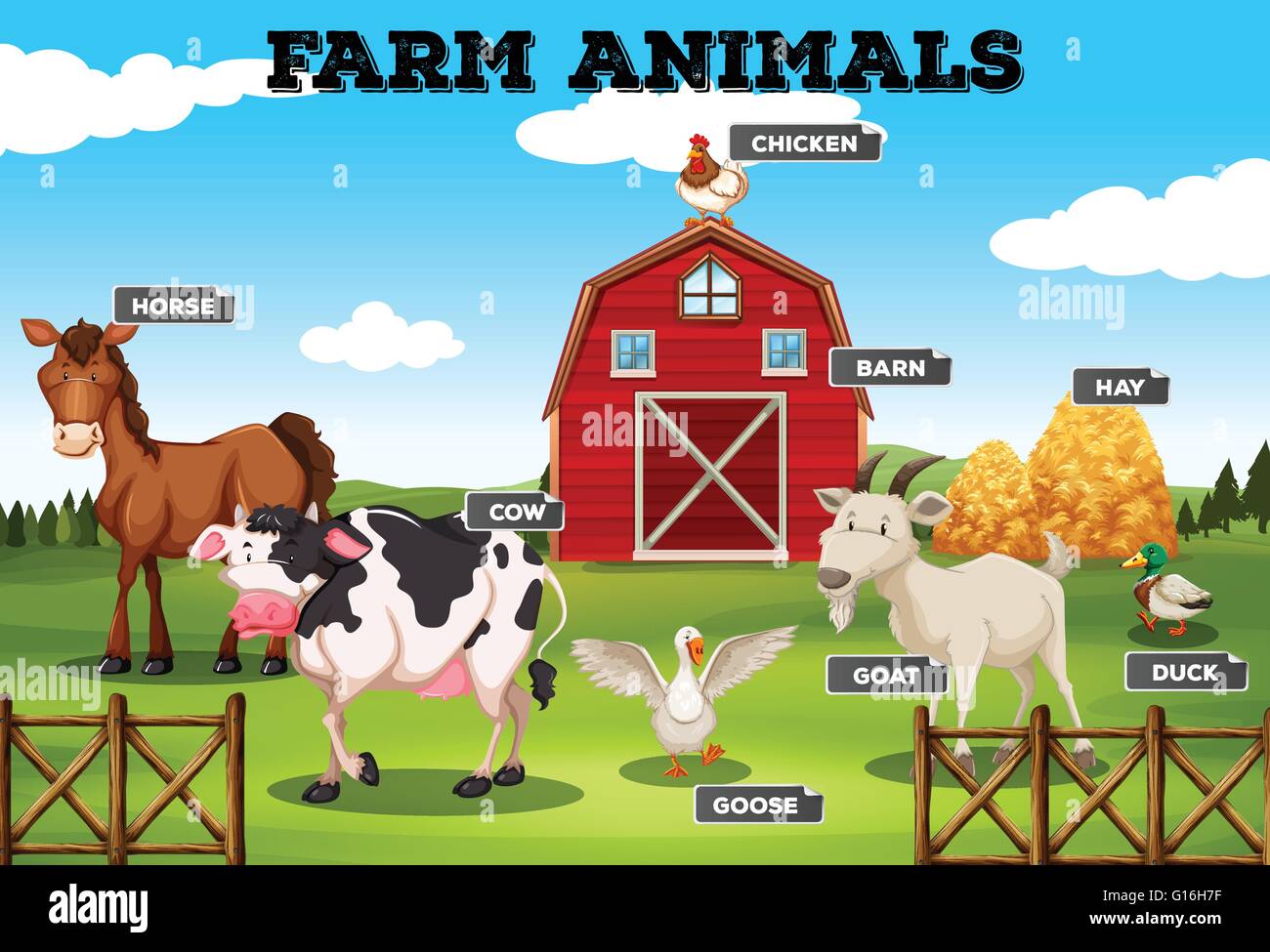 Barn With Live Animals