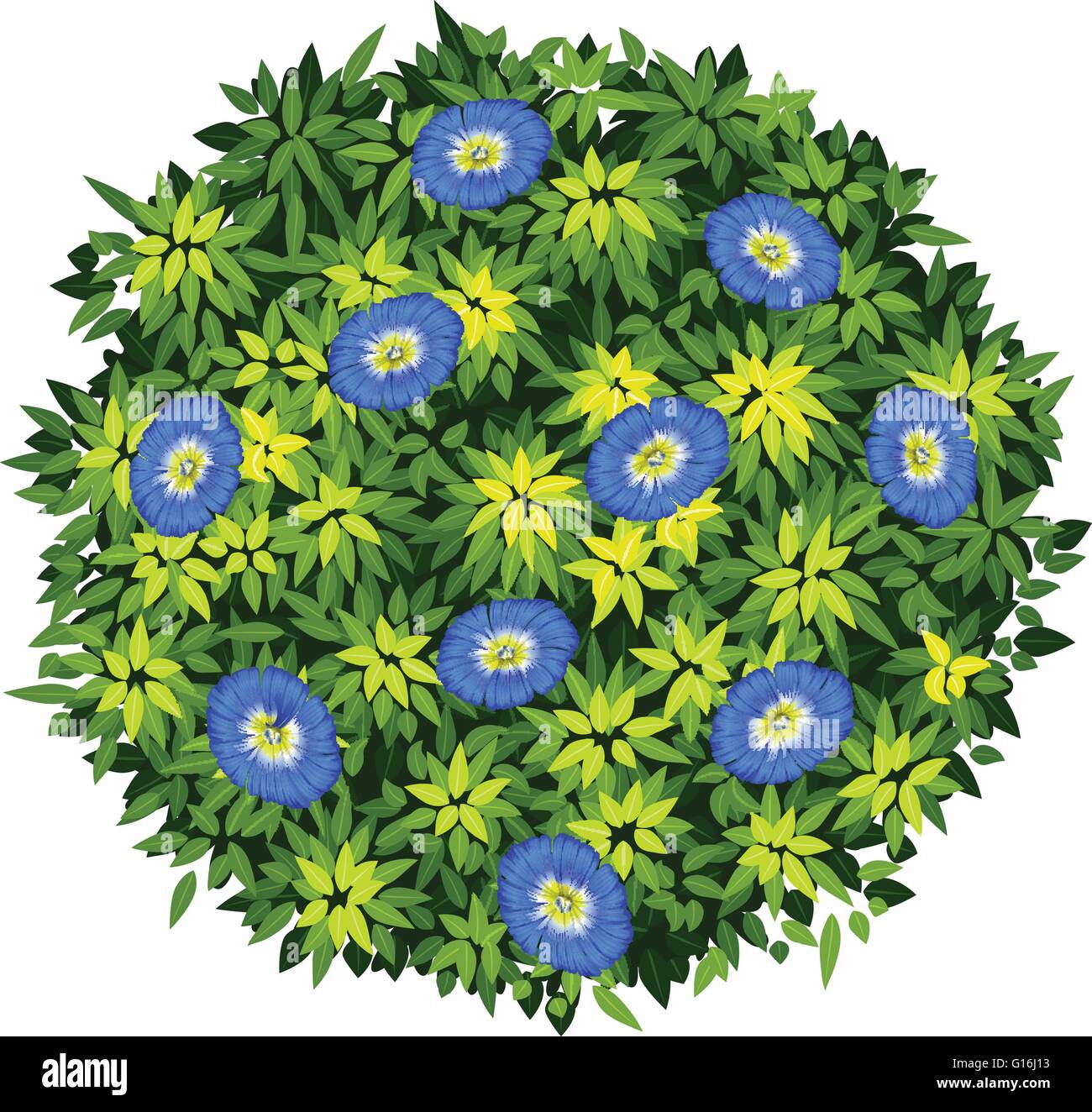Blue flower on green bush illustration Stock Vector