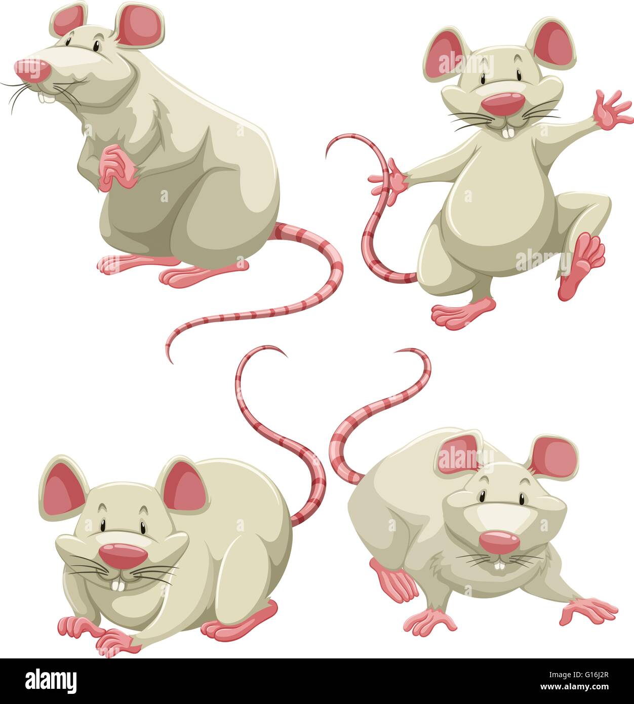 Four white mice doing different actions on white background Stock Vector