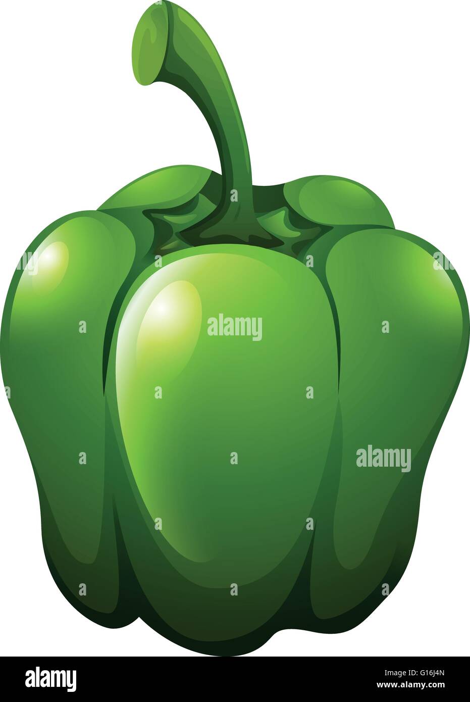 Fresh green bellpepper on white illustration Stock Vector