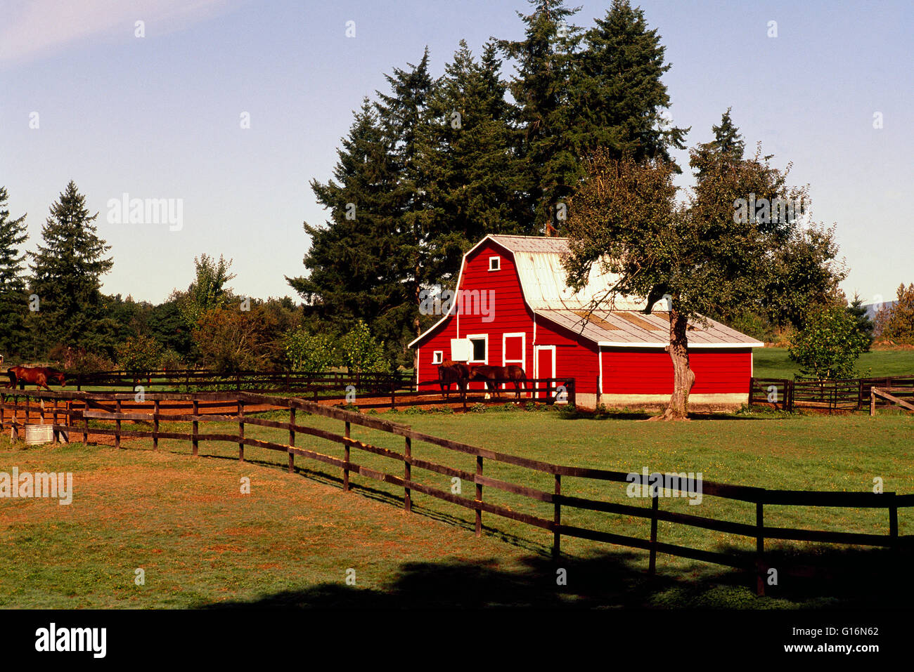 Red Barn on Fraser Valley Farm, Langley, BC, British Columbia, Canada - Rural Agriculture Landscape Stock Photo