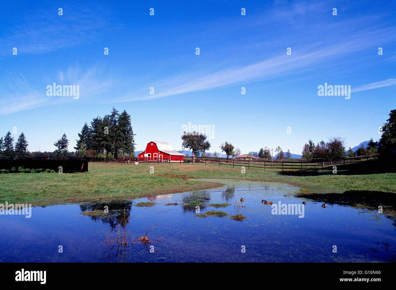 Fraser Valley, Langley, BC, British Columbia, Canada - Red Barn on Farm in Rural Agriculture Landscape Stock Photo