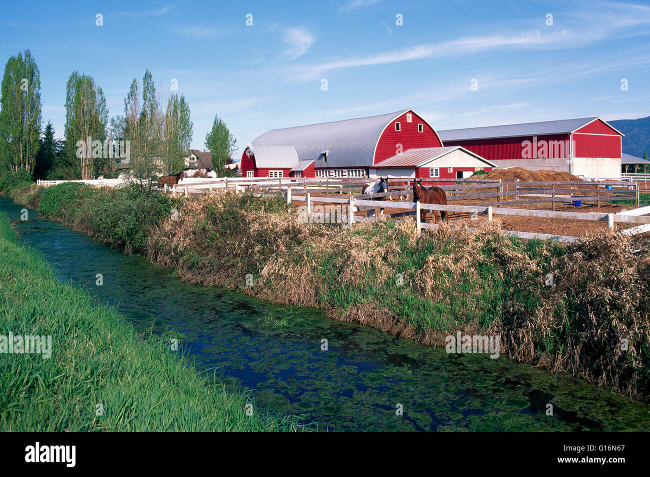 Red Barn on Fraser Valley Farm, Pitt Meadows, BC, British Columbia, Canada Stock Photo