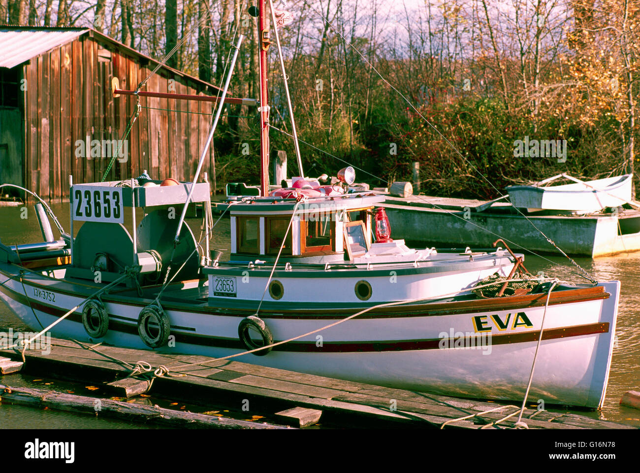 Fraser River, Richmond, BC, British Columbia, Canada - Historic Commercial Fishing Boat docked in Finn Slough, a Tidal Community Stock Photo