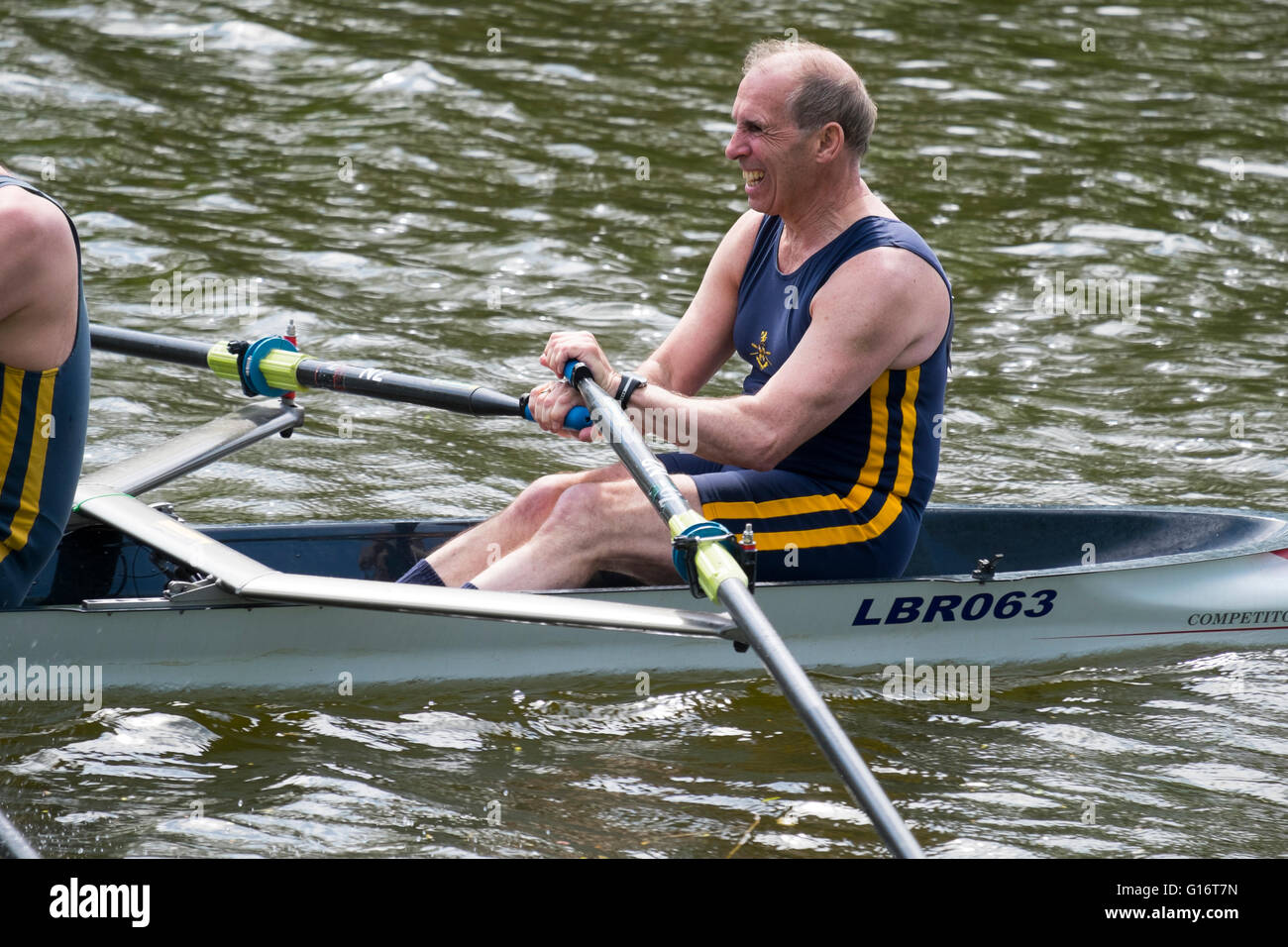 A middle aged man rowing at Shrewsbury Regatta on the River Severn