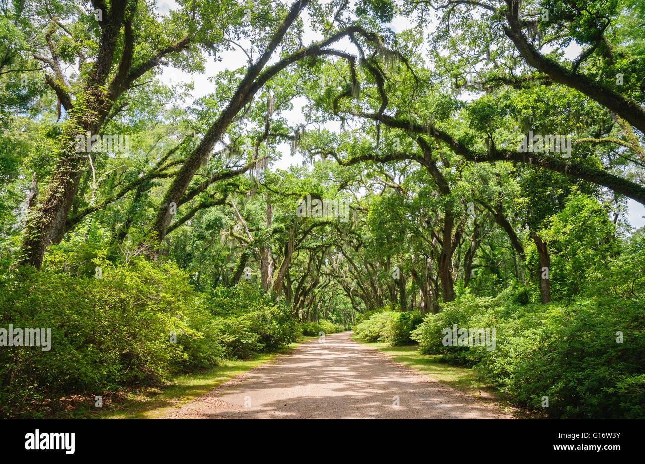 Afton Villa Gardens Stock Photo 104028287 Alamy