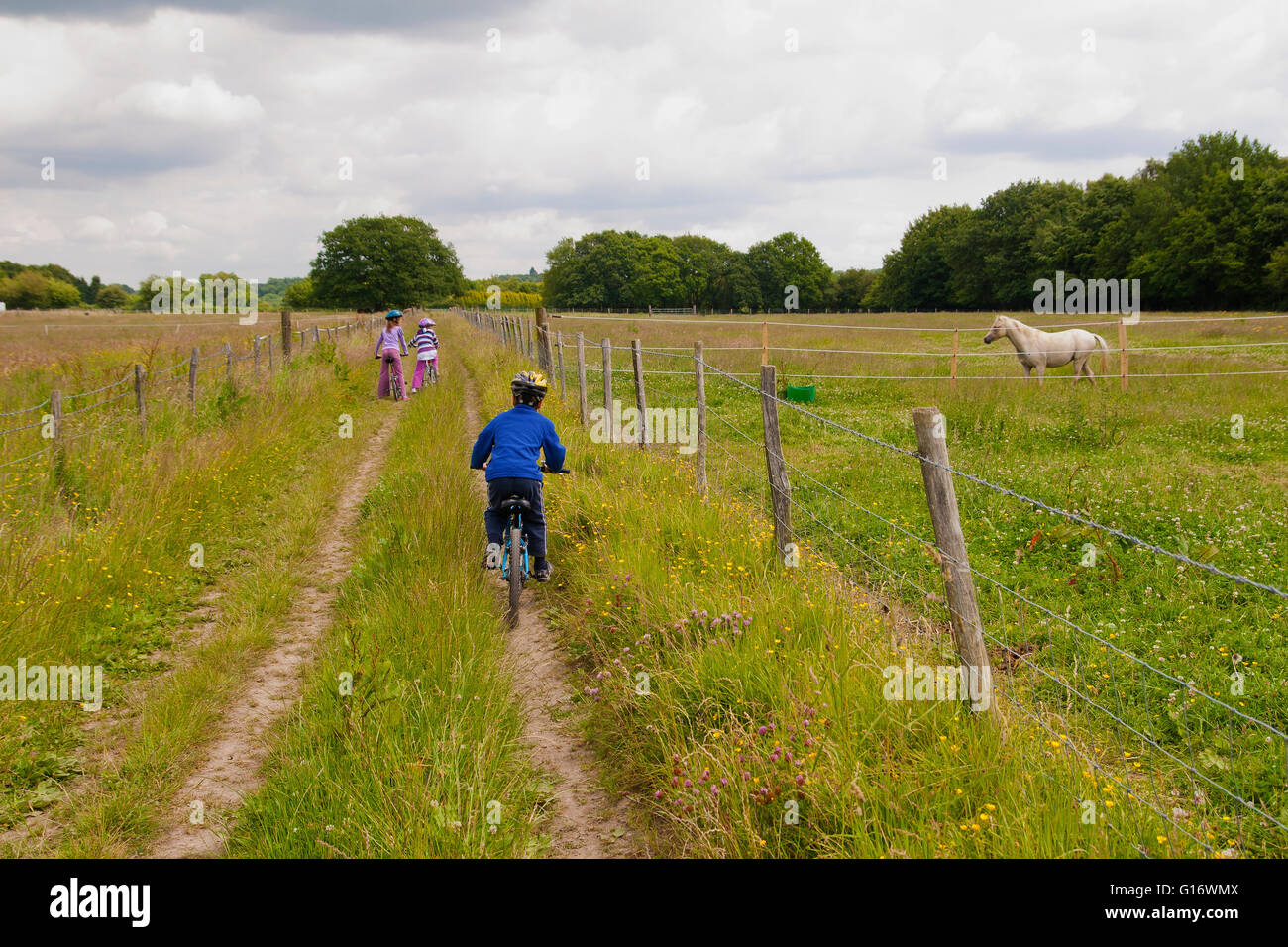 Preteens out cycling in the British countryside in Kent UK Stock Photo