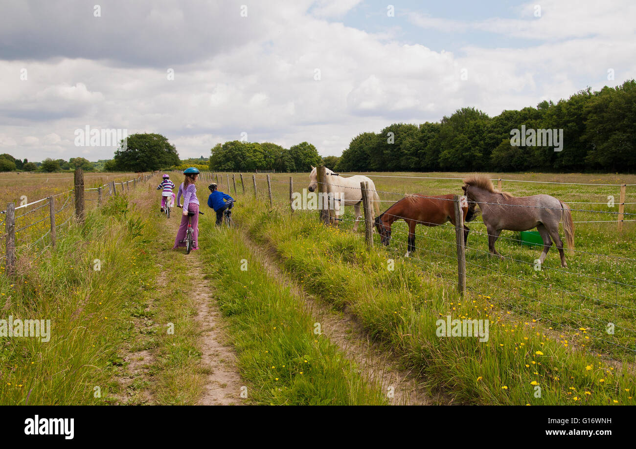 preteens out cycling in the British countryside in Kent UK Stock Photo