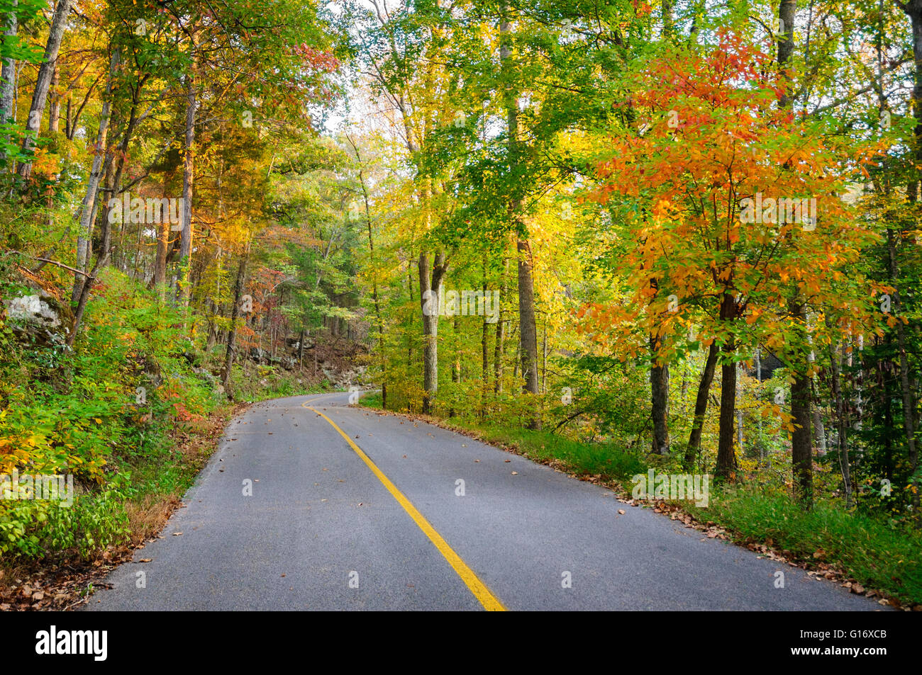 Mammoth Cave National Park Stock Photo - Alamy