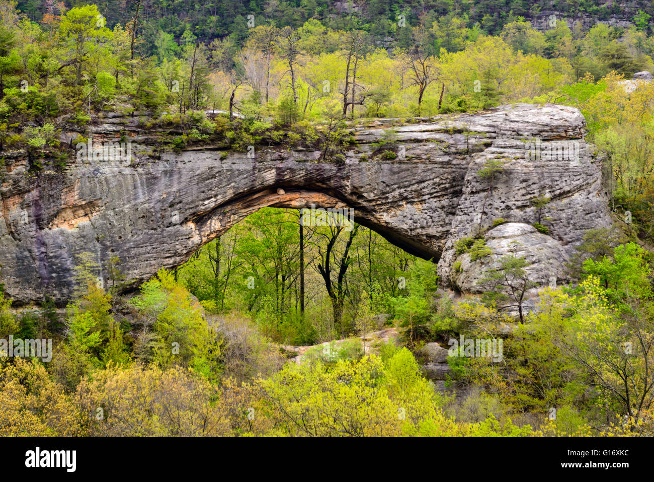 Big South Fork National River and Recreation Area Stock Photo Alamy