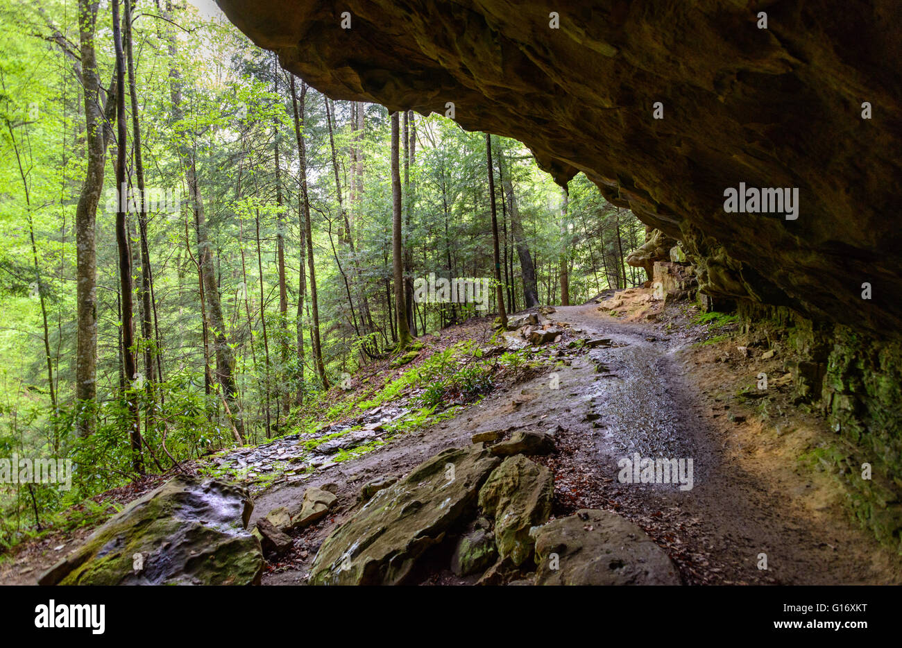 Big South Fork National River and Recreation Area Stock Photo Alamy