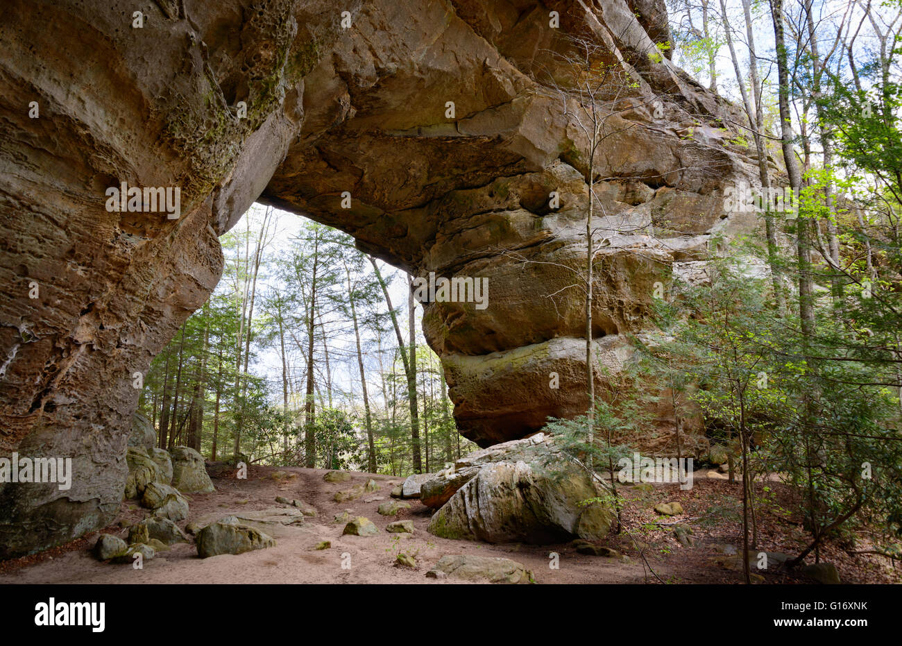 Big South Fork National River and Recreation Area Stock Photo Alamy