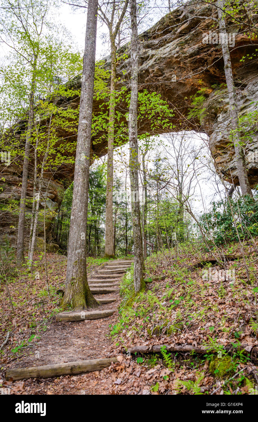 Big South Fork National River and Recreation Area Stock Photo Alamy