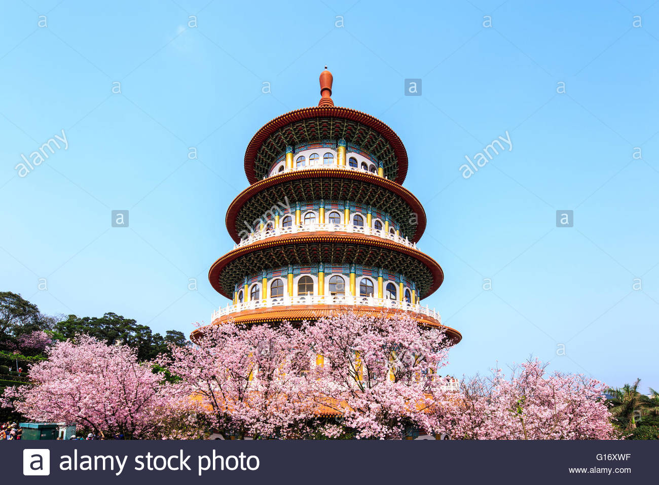 Tian Yuan Tian Yuan new pictures Tian Yuan Tian Yuan new picture