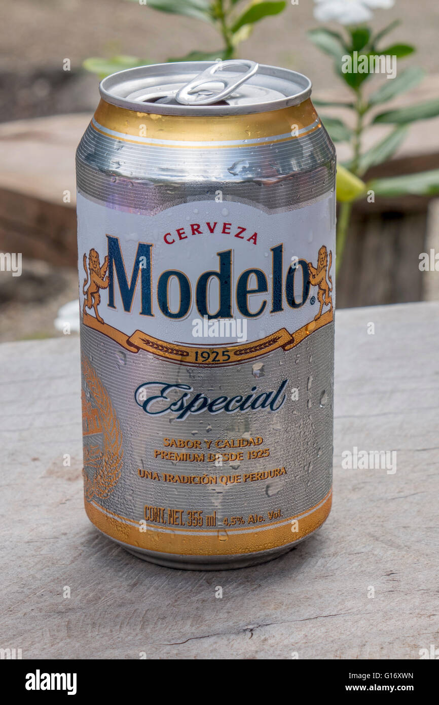 Cerveza Negra Modelo Beer Can A Domestic Beer From Mexico Owned By Anheuser-Busch InBev Stock Photo
