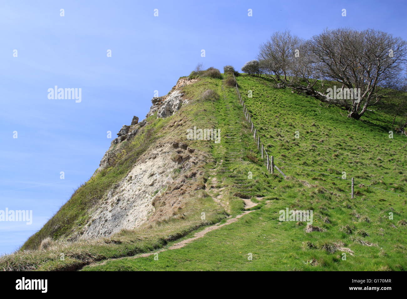 Houns-tout Cliff, Worth Matravers, Corfe, Purbeck, Jurassic Coast, Dorset, England, Great Britain, United Kingdom, UK, Europe Stock Photo