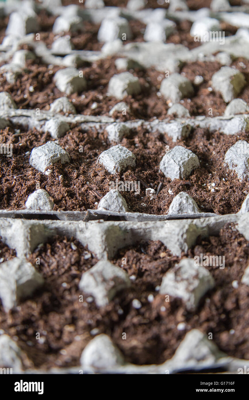 Seeds cartons hires stock photography and images Alamy