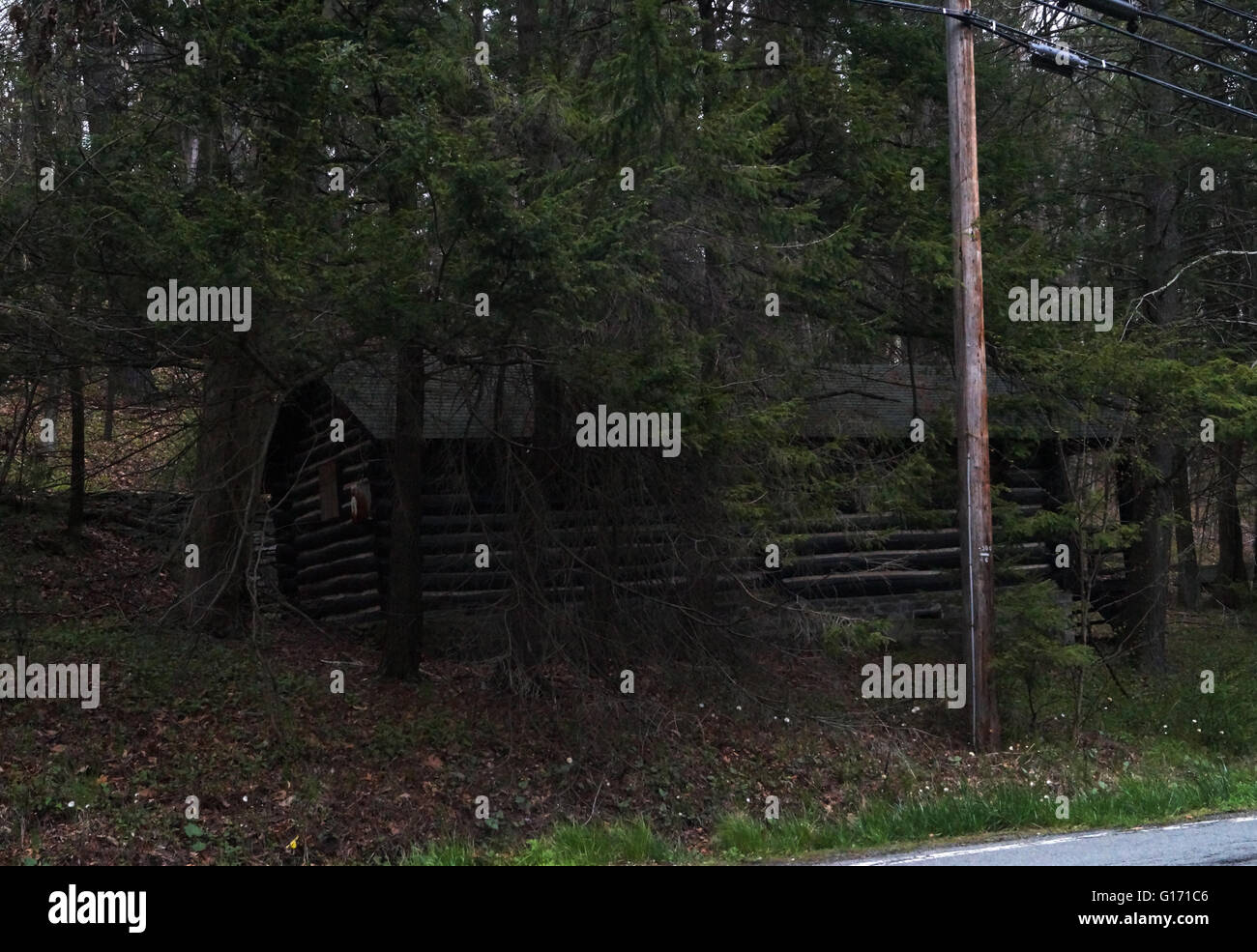 A log cabin in the woods Stock Photo