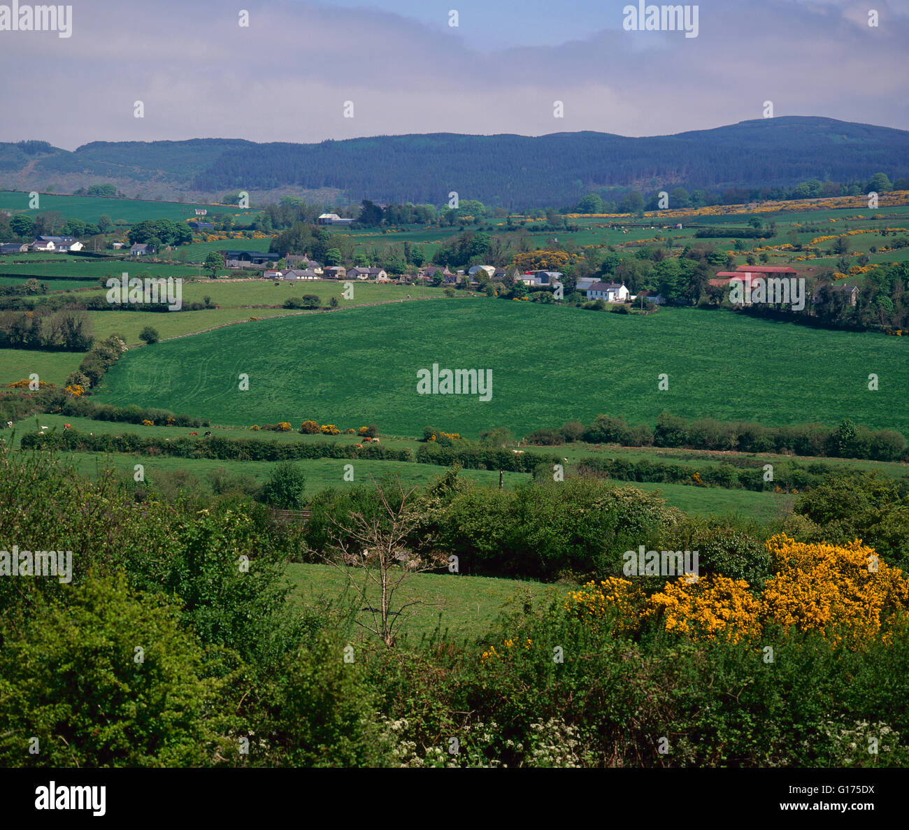 South Armagh countryside with Belfast to Dublin railway line, Northern Ireland Stock Photo